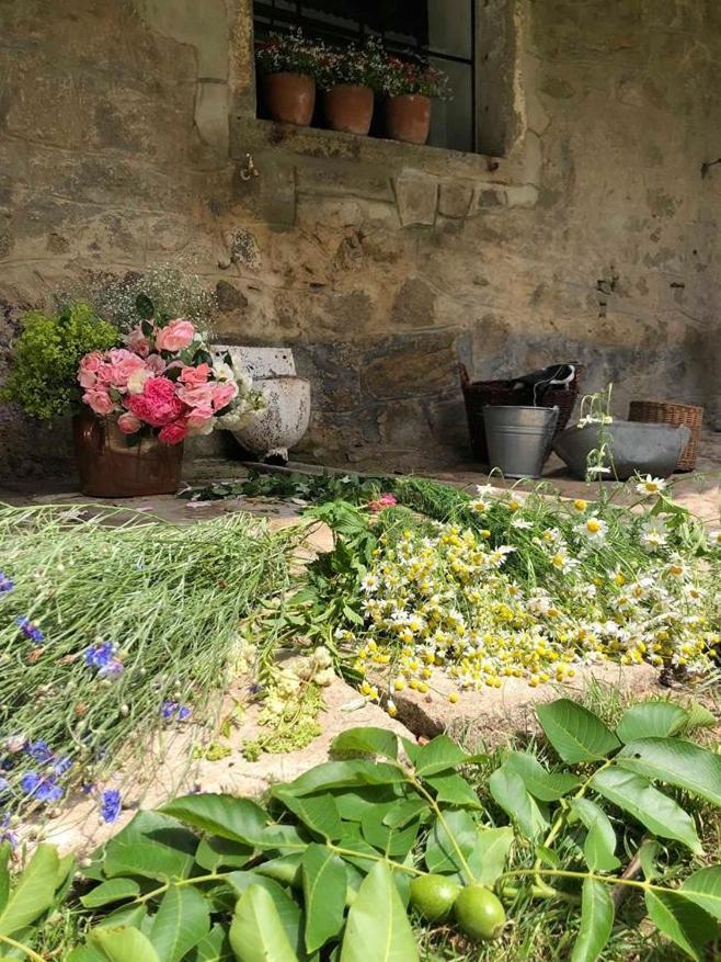 Ubytovani Napoli Stara Cervena Voda Buitenkant foto